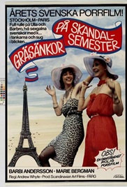 Crazy Swedish Holidays in Paris (1980) movie poster watch online